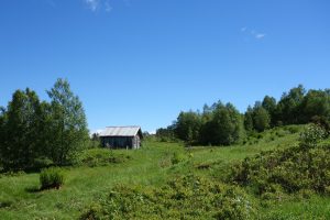 Lonely hut in a clearing