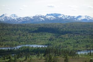 Große Tiefebene mit Wald und Seen, am Horizont Berge