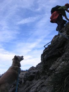 Mit Hund auf dem Klettersteig